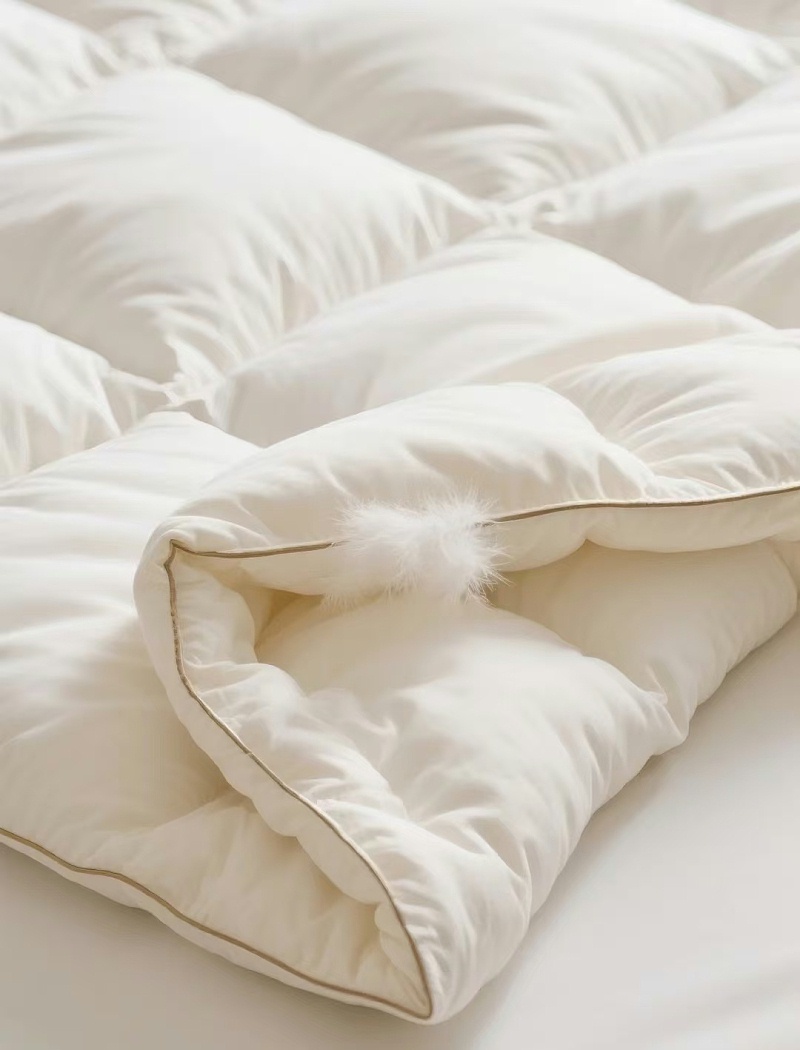 75ed8be472a1fd9343864060271e9c23