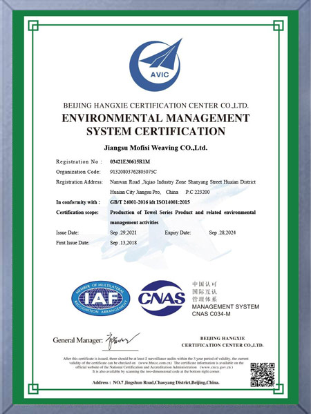 环境管理体系认证证书（英文版）