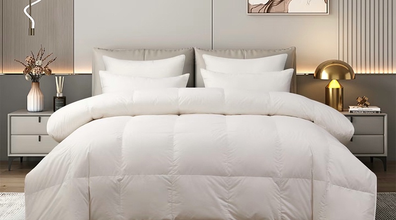 5c503df5-1b4a-408d-803d-1f8244a7883b