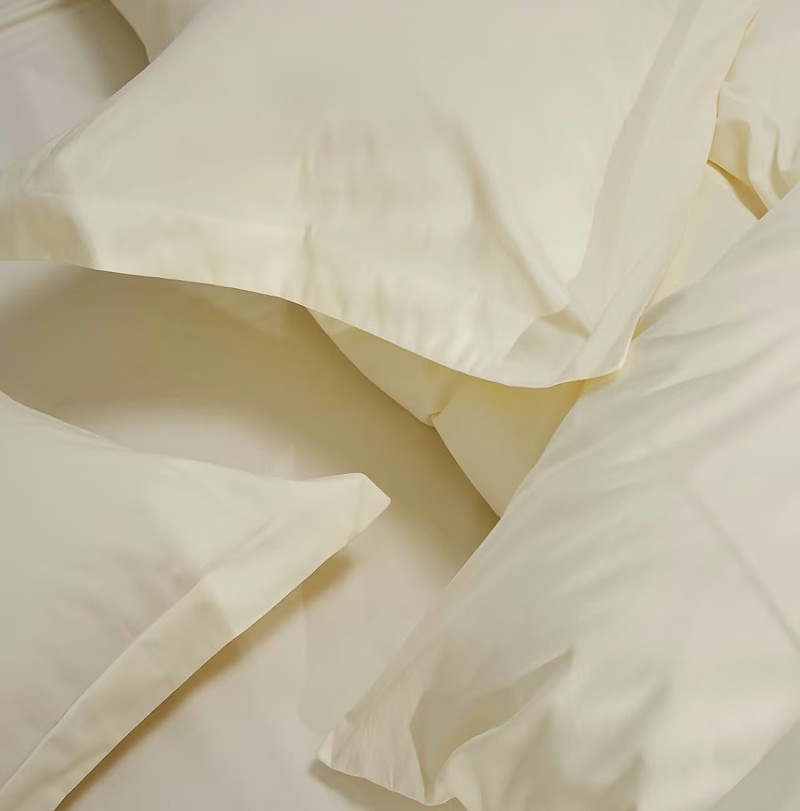 2ef913e43a3ca068ccb134290a05234b