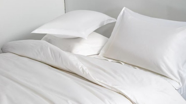 全棉贡缎磨毛与全棉磨毛：两字之差，差异何在？